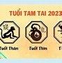 3 Năm Tam Tai Của 2001