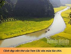 Ban Nông Nghiệp Ninh Bình