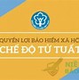 Bảo Hiểm Xã Hội Tự Nguyện Đóng Như Thế Nào