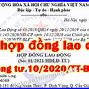 Tải Mẫu Hợp Đồng Lao Động 2022