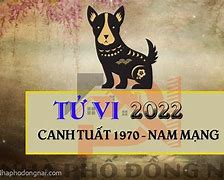 Tử Vi Tuổi Canh Tuất 1970 Nam Mạng Năm 2022